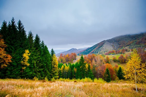 Sonbahar ormanları, doğal arka plan ile dağların muhteşem görünümü.
