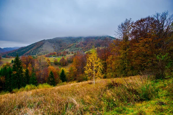 Niesamowity Widok Góry Jesiennych Lasów Naturalnego Tła — Zdjęcie stockowe