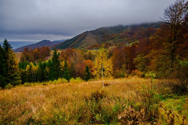 Sonbahar ormanları, doğal arka plan ile dağların muhteşem görünümü.