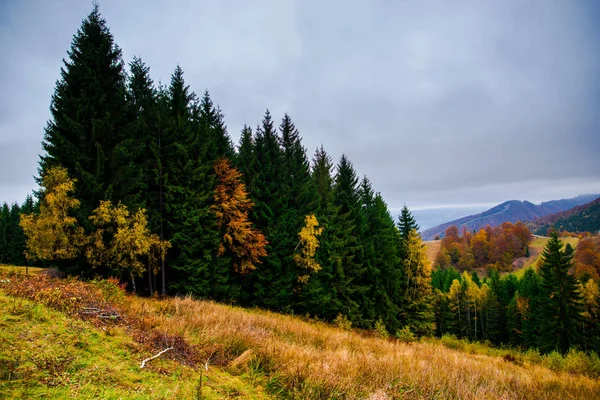 Úžasný Výhled Hory Podzimní Lesy Přírodní Pozadí — Stock fotografie