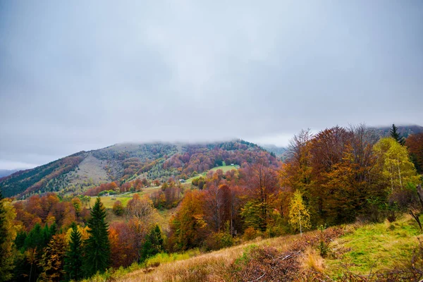 Sonbahar ormanları, doğal arka plan ile dağların muhteşem görünümü.