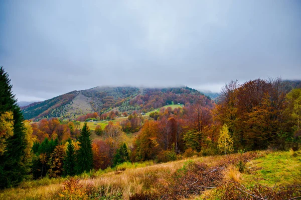Sonbahar ormanları, doğal arka plan ile dağların muhteşem görünümü.