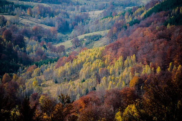 Úžasný Výhled Hory Podzimní Lesy Přírodní Pozadí — Stock fotografie
