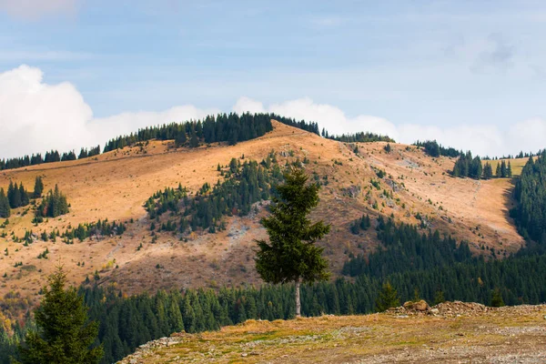 Vue Imprenable Sur Les Montagnes Avec Forêts Automnales Fond Naturel — Photo