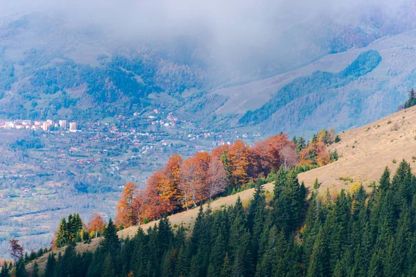 Vista Incrível Montanhas Com Florestas Outonais Fundo Natural — Fotografia de Stock