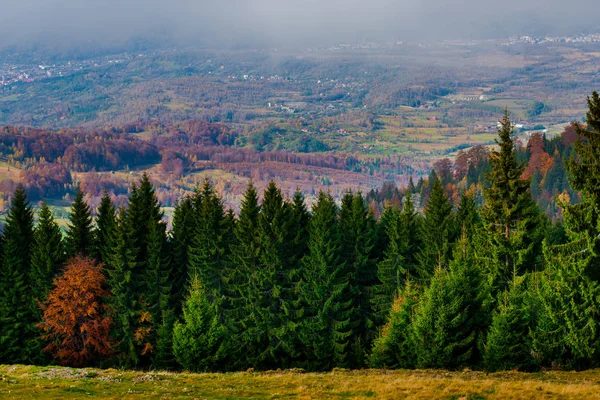 Úžasný Výhled Hory Podzimní Lesy Přírodní Pozadí — Stock fotografie