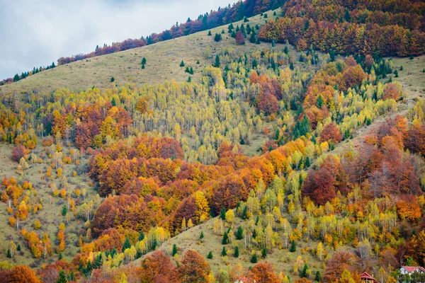 Atemberaubende Aussicht Auf Berge Mit Herbstlichen Wäldern Natürlicher Hintergrund — Stockfoto