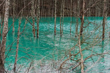 İlkbaharda nehir sular altında