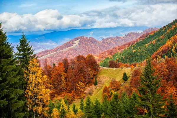 Increíble Vista Las Montañas Con Bosques Otoñales Fondo Natural —  Fotos de Stock