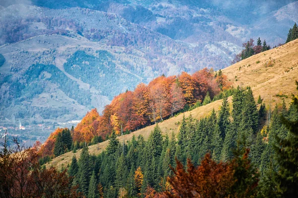 Fantastisk Udsigt Bjerge Med Efterårsskove Naturlig Baggrund - Stock-foto
