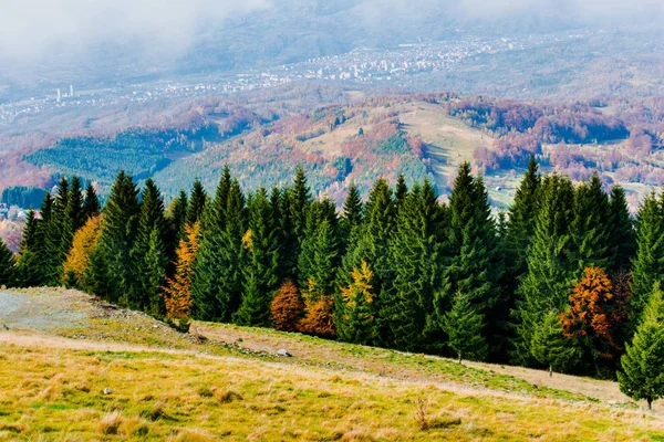 Fantastisk Udsigt Bjerge Med Efterårsskove Naturlig Baggrund - Stock-foto