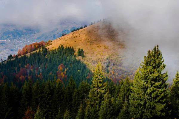 Atemberaubende Aussicht Auf Berge Mit Herbstlichen Wäldern Natürlicher Hintergrund — Stockfoto