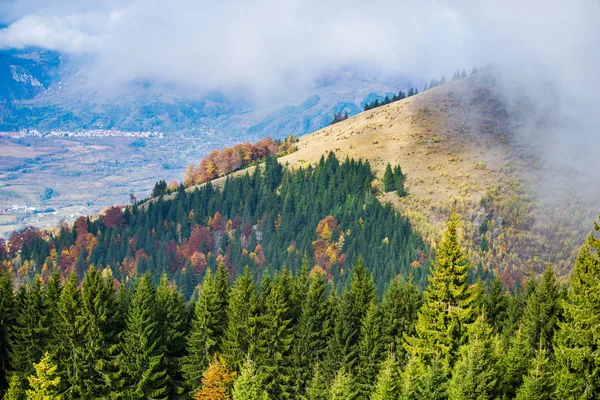 Otoño Bosque Salvaje Con Árboles Paisaje Montañas —  Fotos de Stock