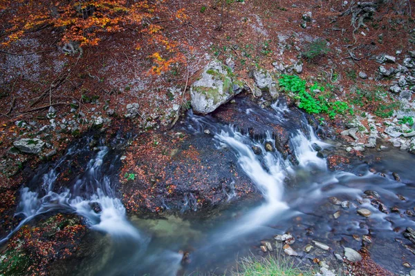 Flusso Con Foglie Secche Cadute Nella Foresta Autunnale — Foto Stock