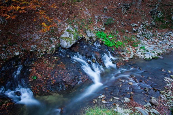 Flusso Con Foglie Secche Cadute Nella Foresta Autunnale — Foto Stock