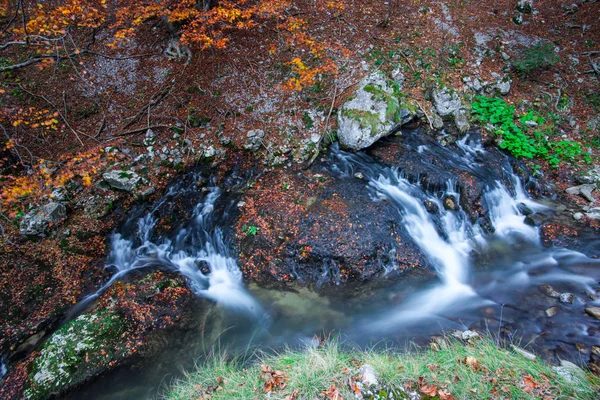 Bach Mit Abgefallenen Getrockneten Blättern Herbstlichen Wald — Stockfoto