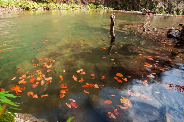 Rocas Orillas Del Río Con Hojas Caídas — Foto de Stock