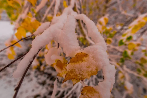 雪山的风景 — 图库照片