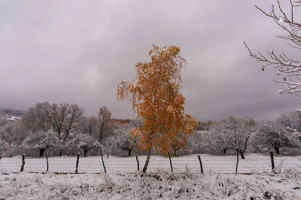 Landscape Snowy Winter Mountains — Stock Photo, Image