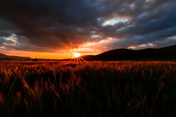 Colorido Atardecer Campo Con Sol Nubes Escondidas — Foto de Stock