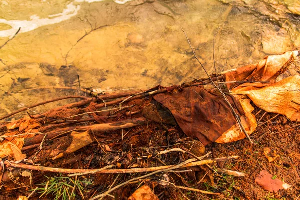 Rivière Inondée Avec Des Déchets Boue Sur Rivage — Photo