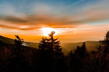 günbatımı gökyüzü ve ağaçlar, doğa kavramı 