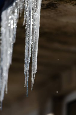 Ev çatıdan asılı buz sarkıtları