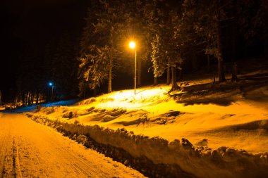 Kış dağlar karlı köknar ağaçlarıyla, gece 