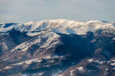 Karlı kış Dağları peyzaj