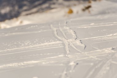 Kış mevsiminde karla kaplı