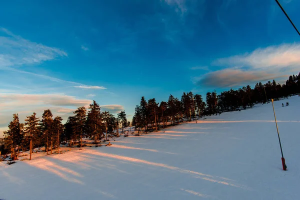 Bosque Montañoso Invierno Con Árboles Puesta Sol — Foto de Stock