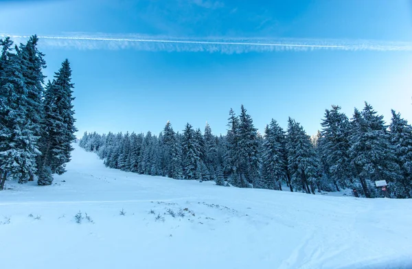 Montañas Invierno Noche Con Abetos Esponjosos — Foto de Stock