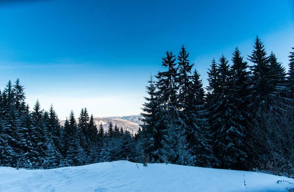 Paisaje Montañas Nevadas Invierno — Foto de Stock