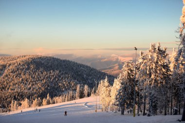 kış orman, karla kaplı dağlar ve peyzaj ağaçları ile havadan görünümü 
