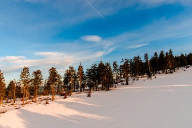 karda huzurlu günbatımı gökyüzü dağlar ağaçları ile kaplı 