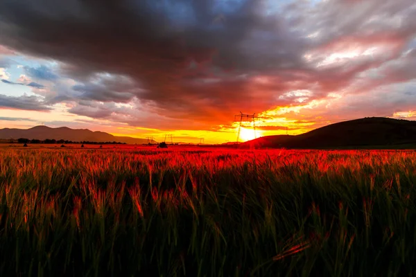 Dramatyczny Zachód Słońca Dziedzinie Ukrywanie Kolorowe Chmury Słońce — Zdjęcie stockowe