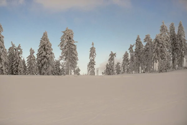 Κρύο Λευκό Χειμώνα Δάσος Χιόνι Που Καλύπτει Δέντρα Και Τοπίο — Φωτογραφία Αρχείου