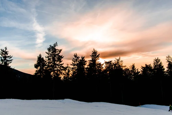 Floresta Montanhas Tempo Inverno Com Árvores Pôr Sol — Fotografia de Stock