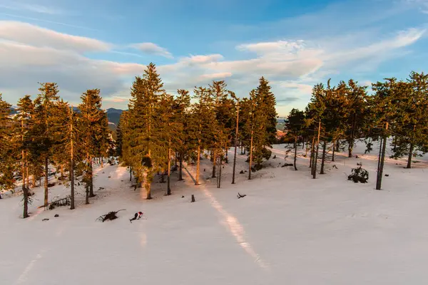 Pacífico Cielo Atardecer Montañas Cubiertas Nieve Con Árboles — Foto de Stock