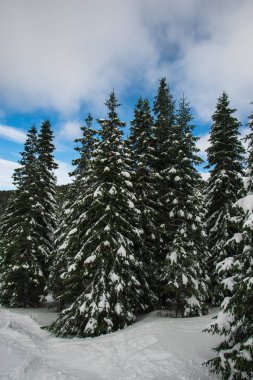Karlı kış Dağları peyzaj