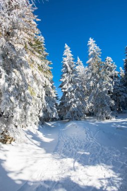 Karlı kış Dağları peyzaj