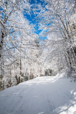 Karlı kış Dağları peyzaj