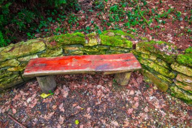 Parkta eski yıpranmış duvar