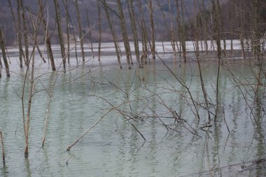 İlkbaharda sular altında kalan nehrin görünümü