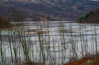 İlkbaharda sular altında kalan nehrin görünümü