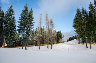 Romanya 'nın Clabucet kentinde kış kayak merkezi.