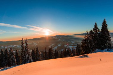 görkemli günbatımı gökyüzü ve ağaçlar 