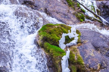 Kış Ormanında Donmuş Gölet
