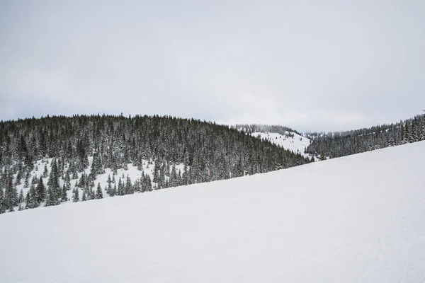 Landschap Van Besneeuwde Winter Bergen — Stockfoto