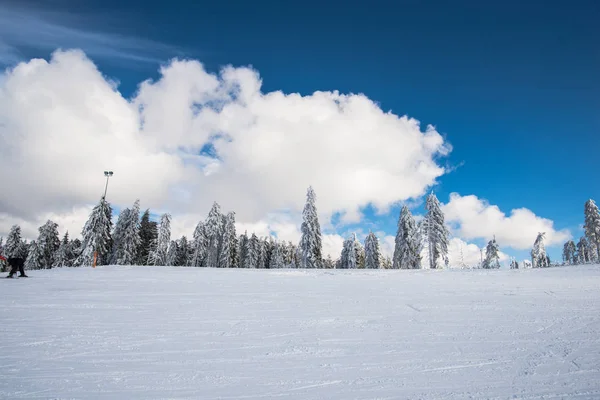 Χιόνι Που Καλύπτει Βουνά Χειμώνα Και Αυξανόμενη Δασικών Δένδρων — Φωτογραφία Αρχείου